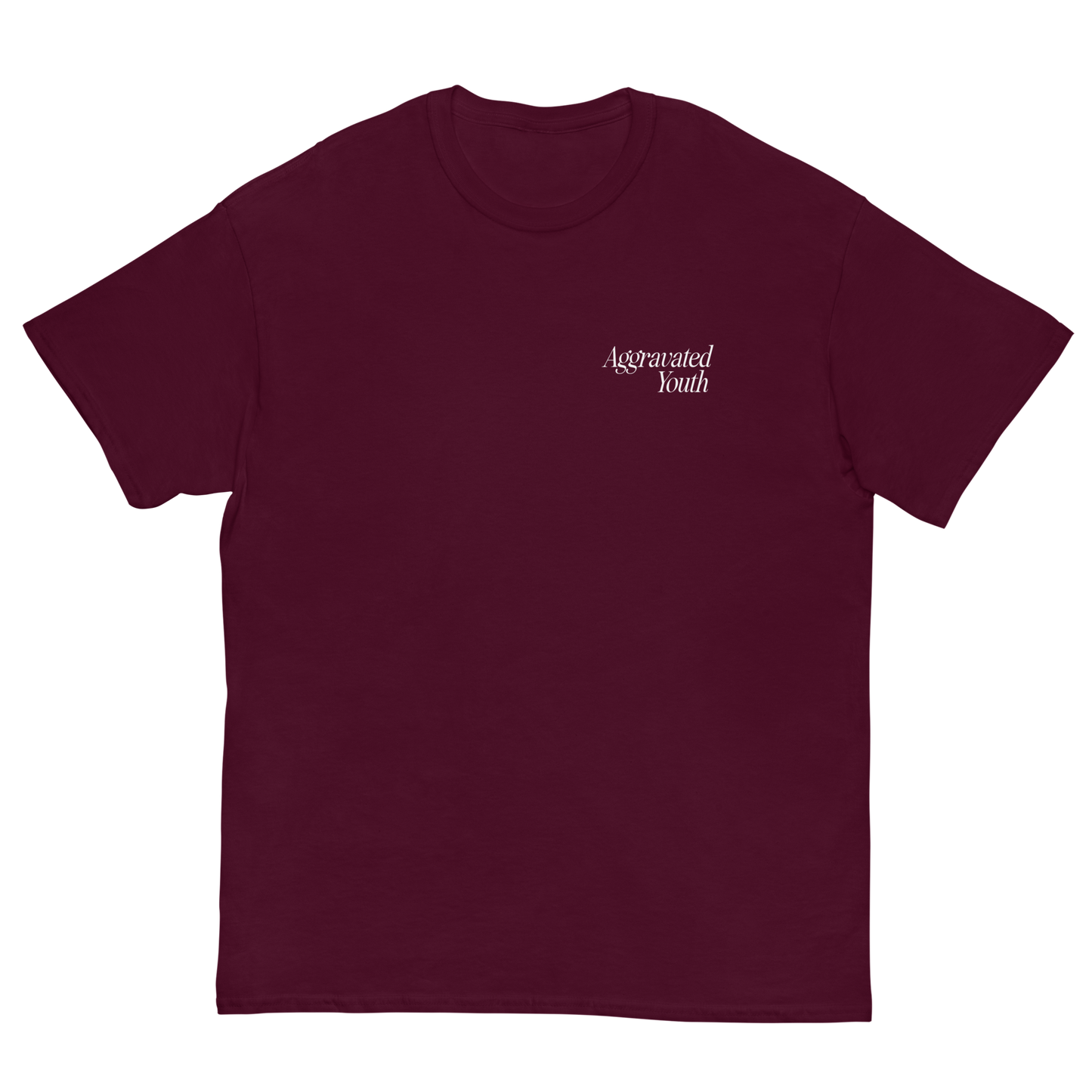 Aggravated Youth T-Shirt