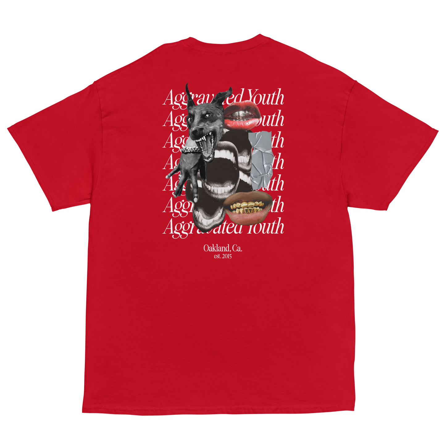 Aggravated Youth T-Shirt