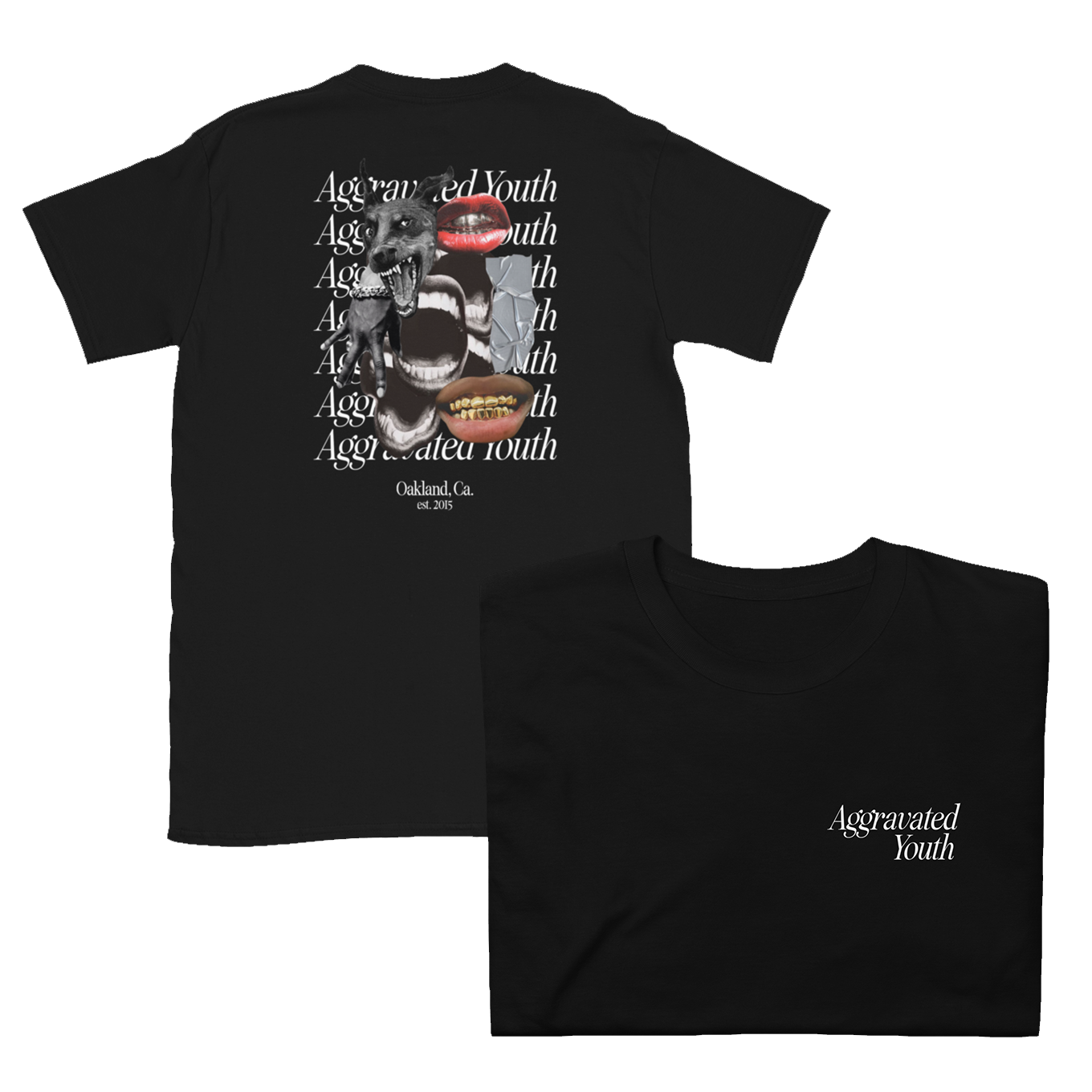 Aggravated Youth T-Shirt