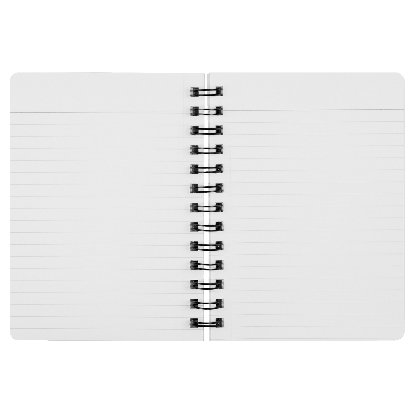 James Baldwin Spiral Notebook