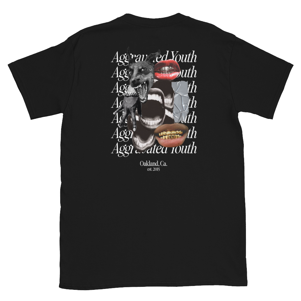 Aggravated Youth T-Shirt