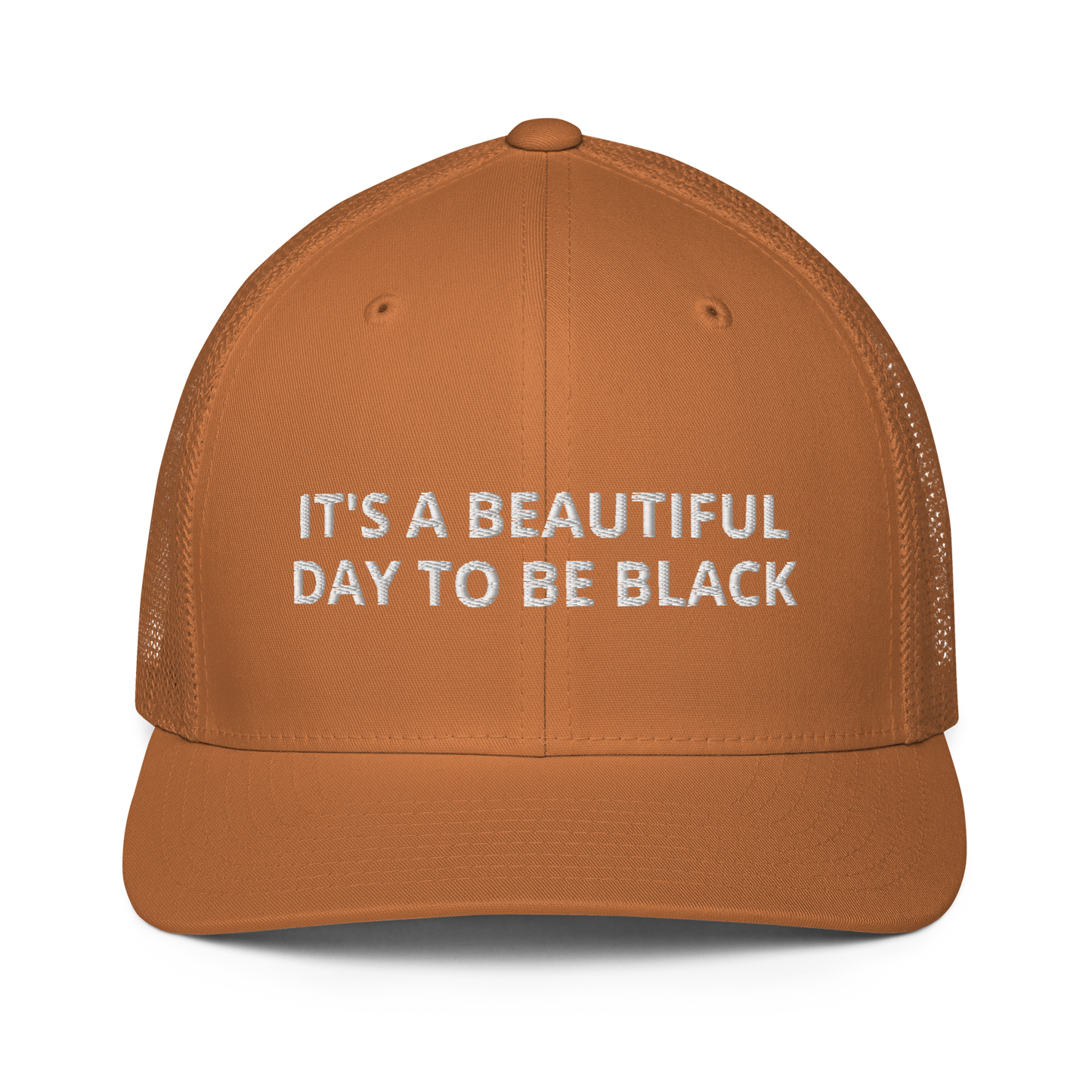 It's A Beautiful Day To Be Black Mesh Trucker Hat